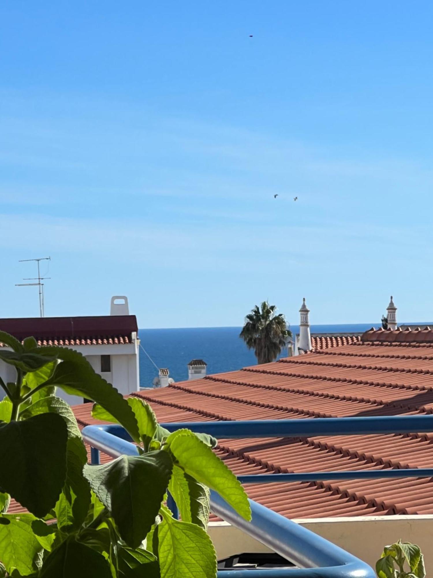 Olhos Do Mar 209 Grande Terraco Vista Mar Apartment ออยุส ดิ อากวา ภายนอก รูปภาพ