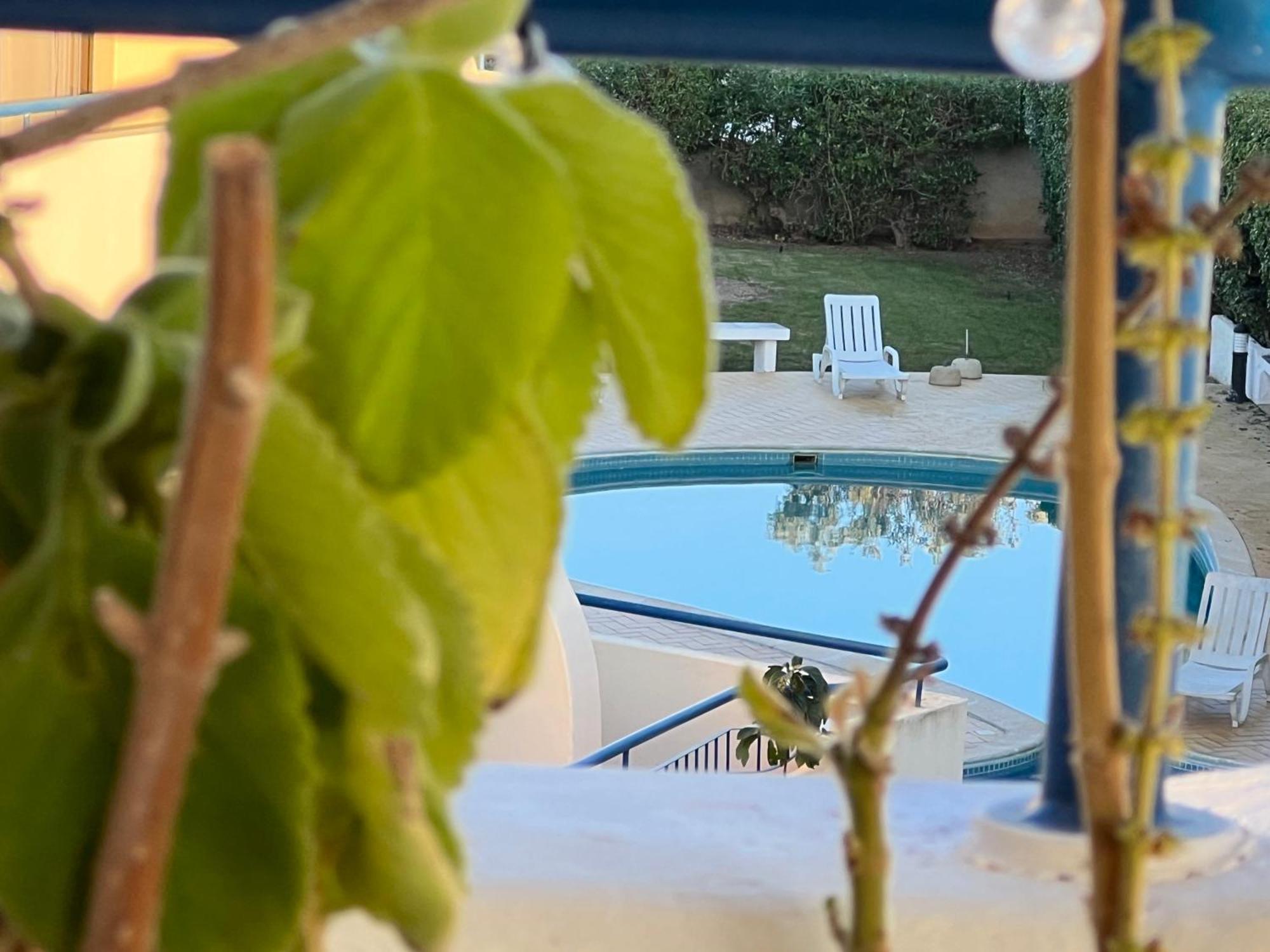 Olhos Do Mar 209 Grande Terraco Vista Mar Apartment ออยุส ดิ อากวา ภายนอก รูปภาพ